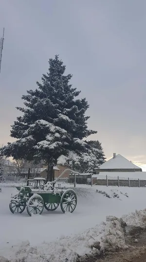 Fotó: Veinperlné Kovács Andrea