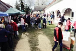 12. Medvehagymás napok. Fotók: Sárfi Lajos