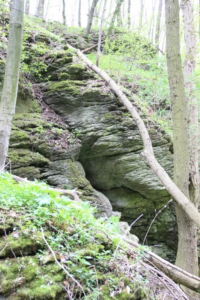 Fotók és kisfilm: Útirány.hu