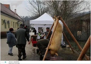 Fotók: Útirány.hu, Kiss Szabó Zoltán