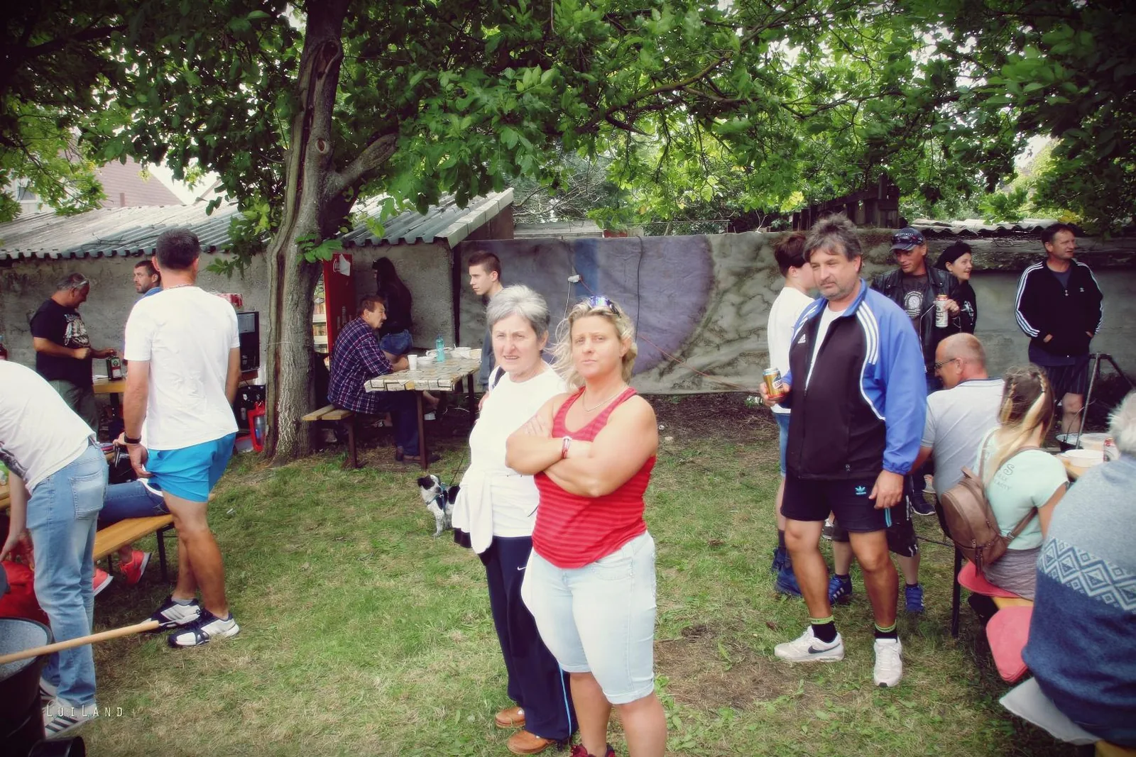 Falunap Fotó: LuiLand