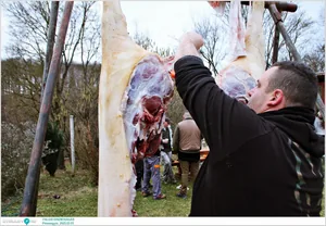 Pénzesgyőr, Falusi Disznóvágás 2025