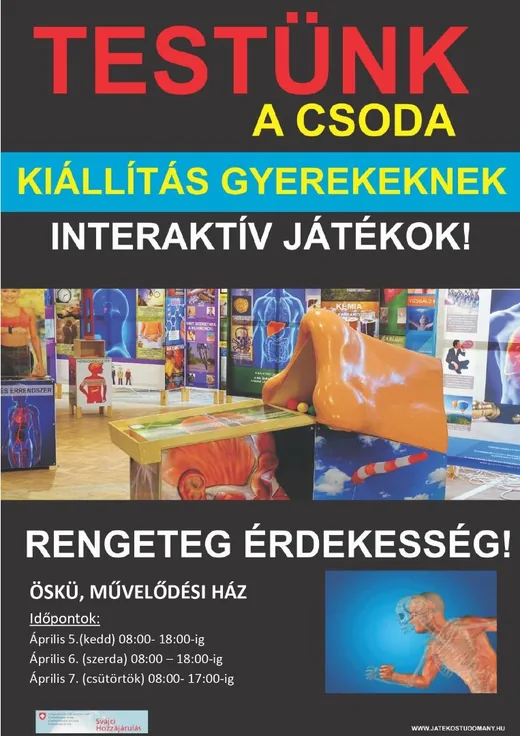 'Testünk a csoda kiállítás gyerekeknek' cikk borítóképe