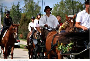 Fotók, Útirány.hu