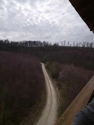 Fotók, Vadon Vándorai 