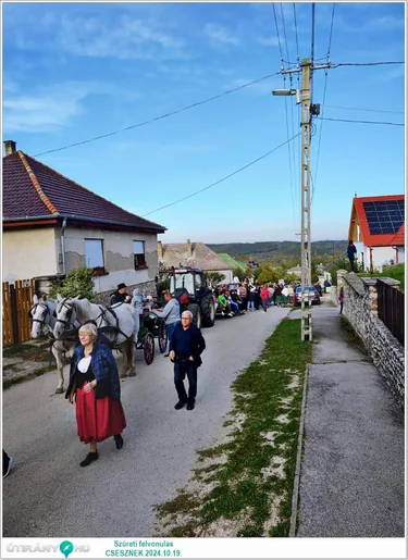 Szüreti felvonulás és Bál