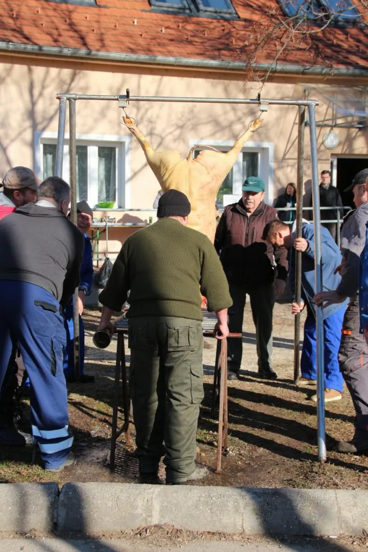 Fotók: Útirány.hu