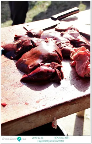 Fotók, Útirány.hu