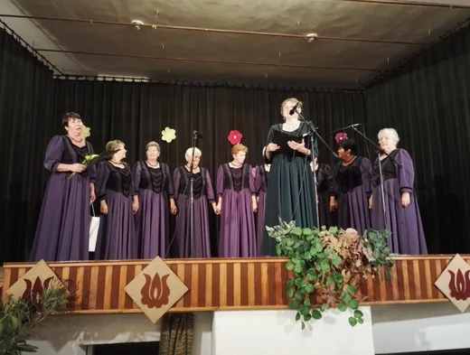 'Márton nap' cikk borítóképe