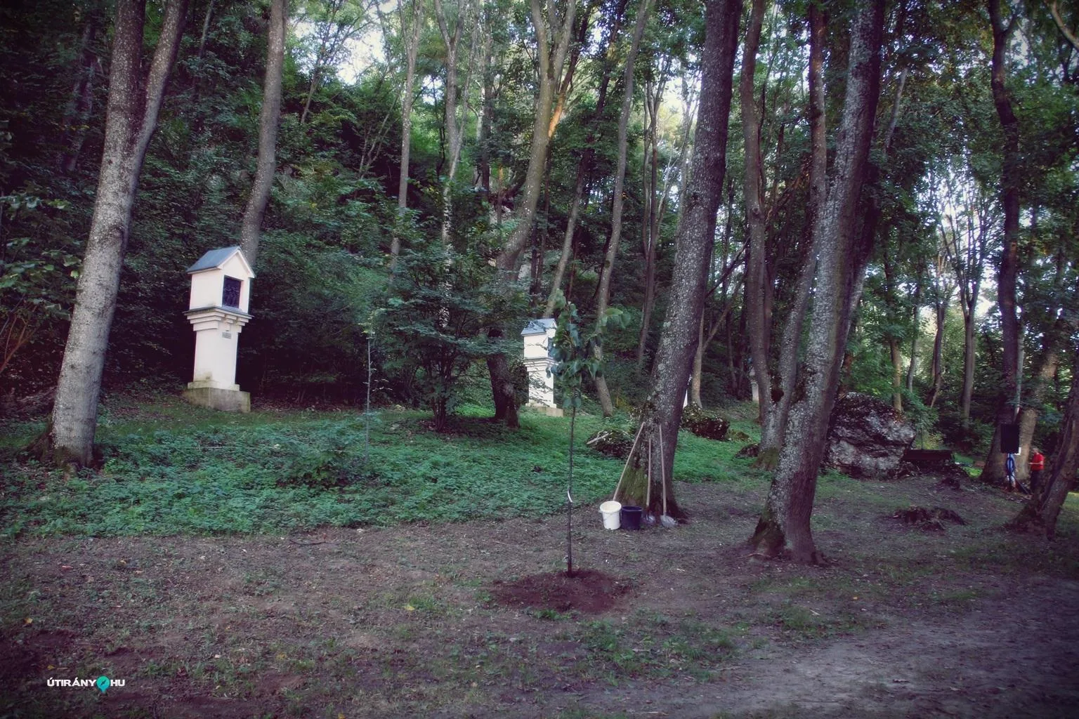 Teremtés Napja 2018. Fotók: Útirány.hu