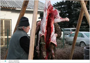 Fotók: Útirány.hu, Kiss Szabó Zoltán