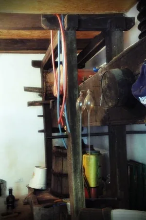 Pincefesztivál 2019 / Fotók: Útirány.hu