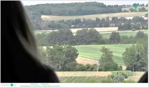 Pillanatképek a kisfilmből