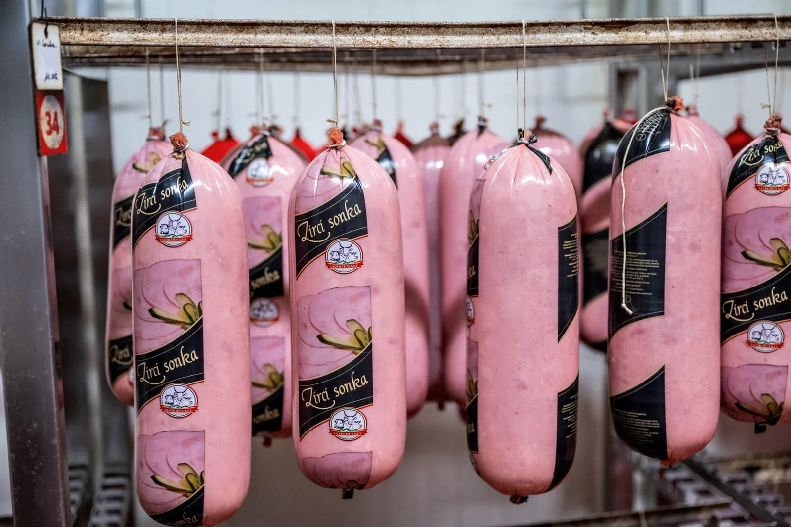 Képek: Horváth Dorottya