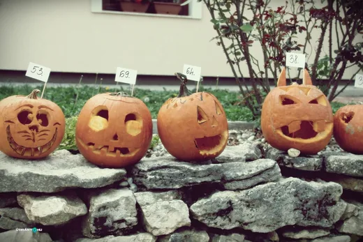 'X. Bakonyszentlászlói Tökfesztivál' cikk borítóképe