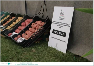 XX. Bakonyi Krumpliszüreti és Művészeti Fesztivál 2023