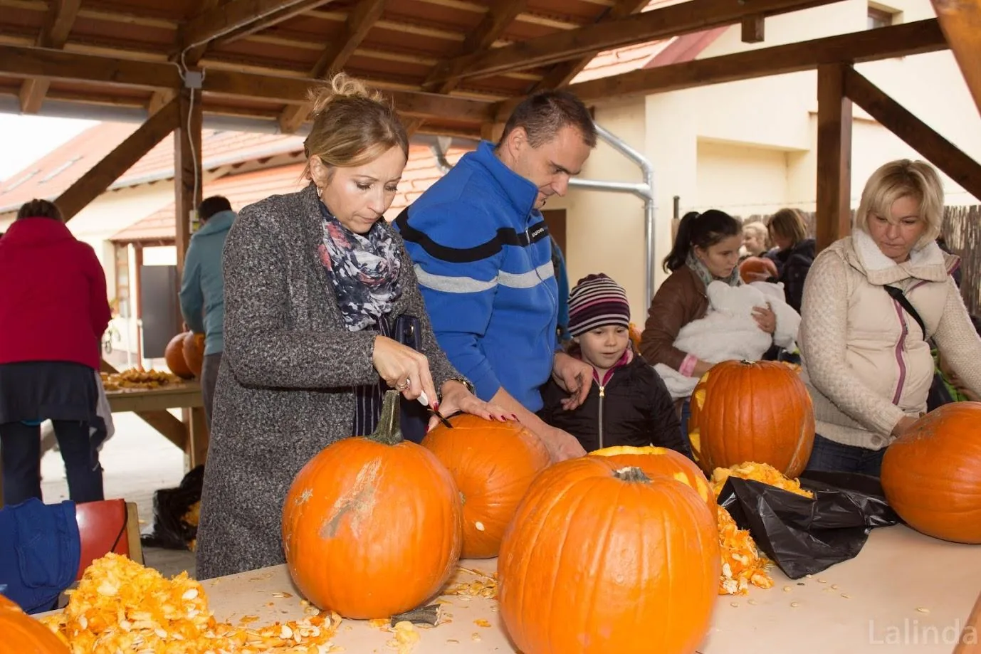 Fotók 2 album: Babai Lalinda