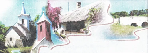 '"Sólyi kötődés" találkozó' cikk borítóképe