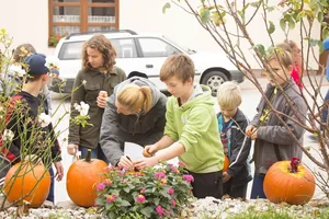 Fotók 1 album: Babai Lalinda