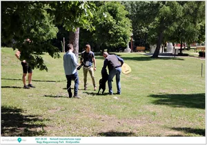 Fotók: Útirány.hu