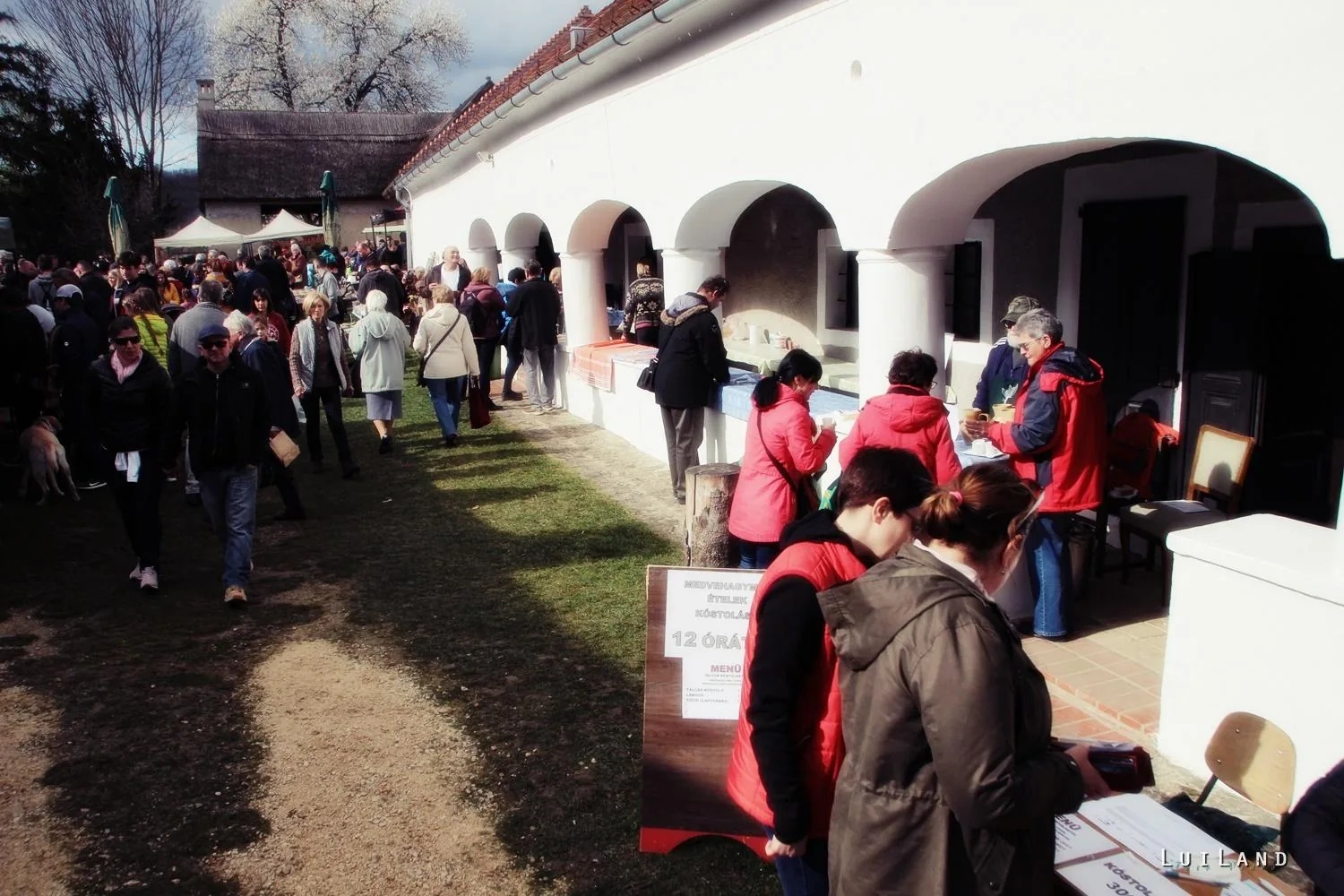 12. Medvehagymás napok. Fotók: Sárfi Lajos