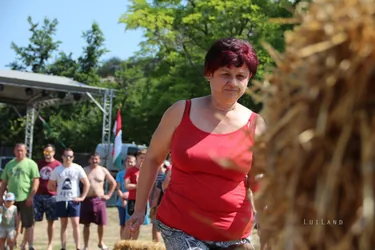 Ösbő Vezér Napok 2017