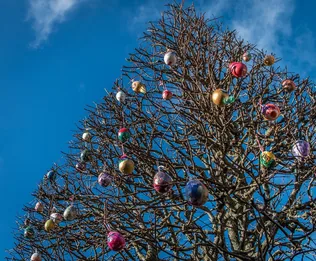 Tojásfa díszítés borítóképe