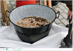 Fotók: Útirány.hu