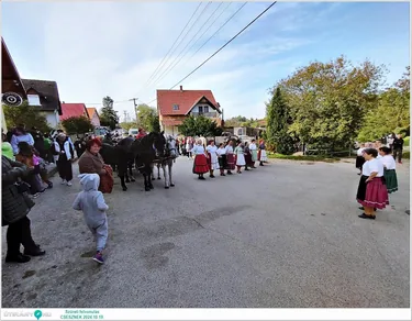 Szüreti felvonulás és Bál
