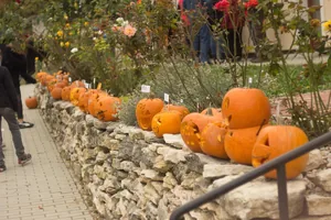 Tökfesztivál 2018. Képek: Babai Lalinda