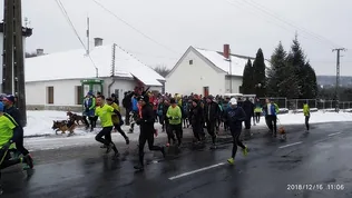 Tájfutás 2018 december borítóképe