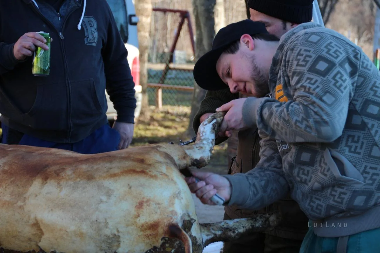 Fotók: Útirány.hu