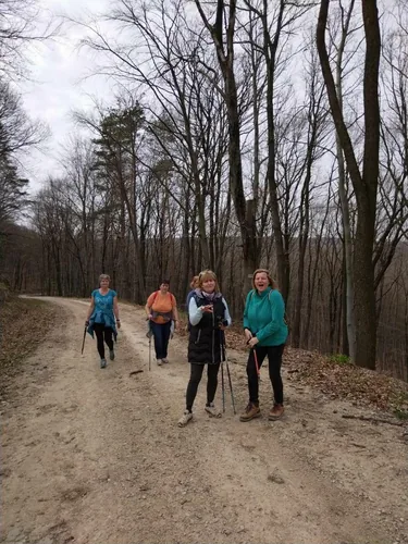 Fotók, Vadon Vándorai 