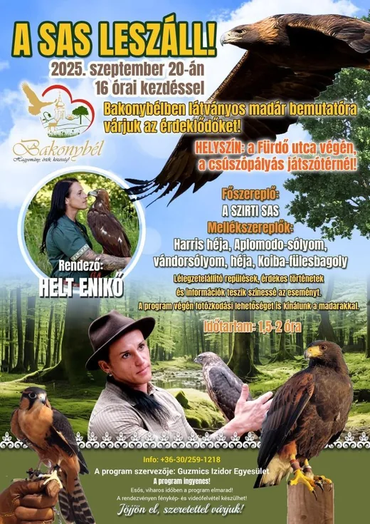 'A SAS LESZÁLL!' cikk borítóképe