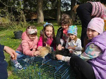 Képek az eseményről, Fotók: Önkormányzat