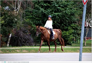 Fotók, Útirány.hu