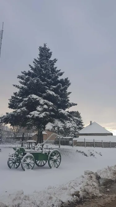 Fotó: Veinperlné Kovács Andrea