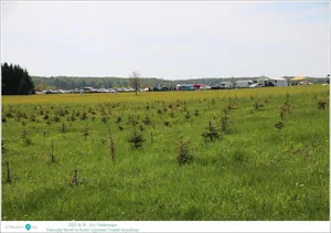 Fotók, Útirány.hu: