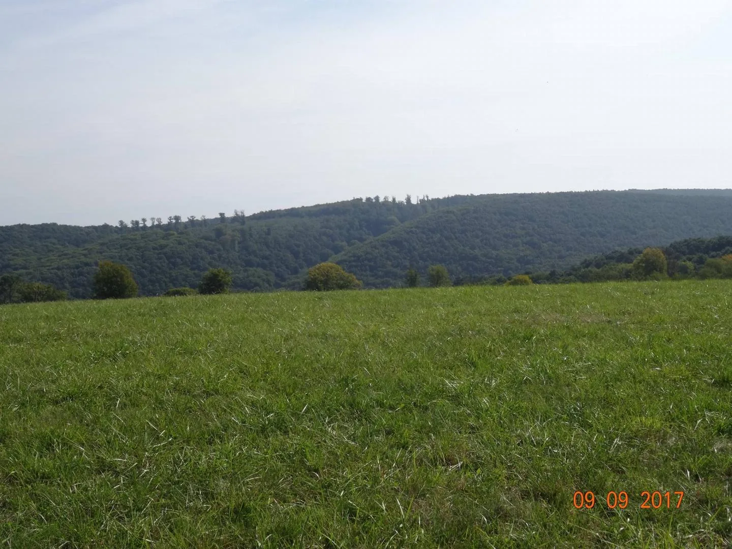 Fotó: Horváth Attila