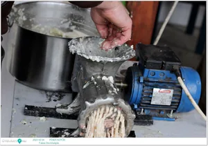 Fotók: Útirány.hu