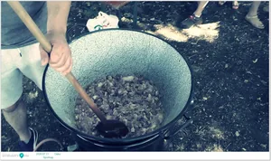 Sportnap 2020 Képek