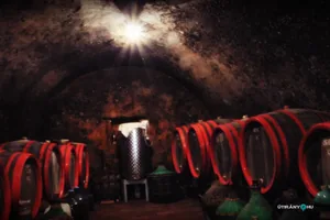 Pincefesztivál 2019 / Fotók: Útirány.hu