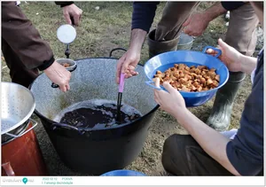 Fotók, Útirány.hu 