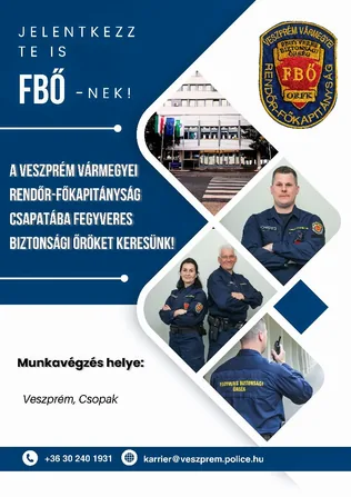Fegyveres Biztonsági Őr munkakör borítóképe