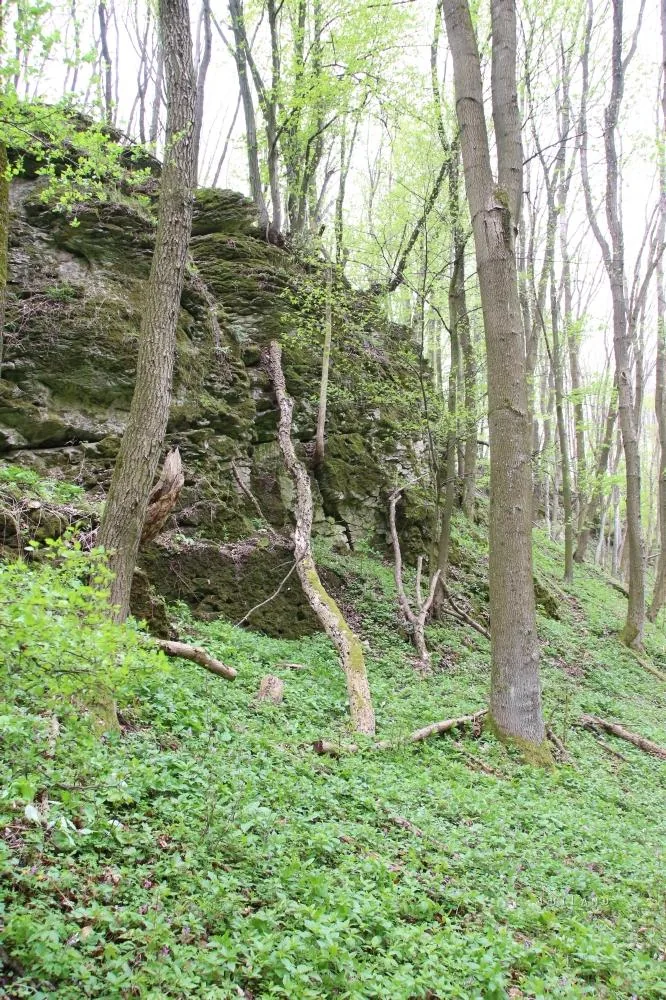 Fotók és kisfilm: Útirány.hu