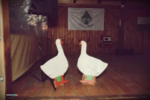 Fotók: Útirány.hu