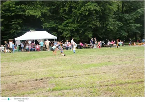 Fotók, Útirány.hu: