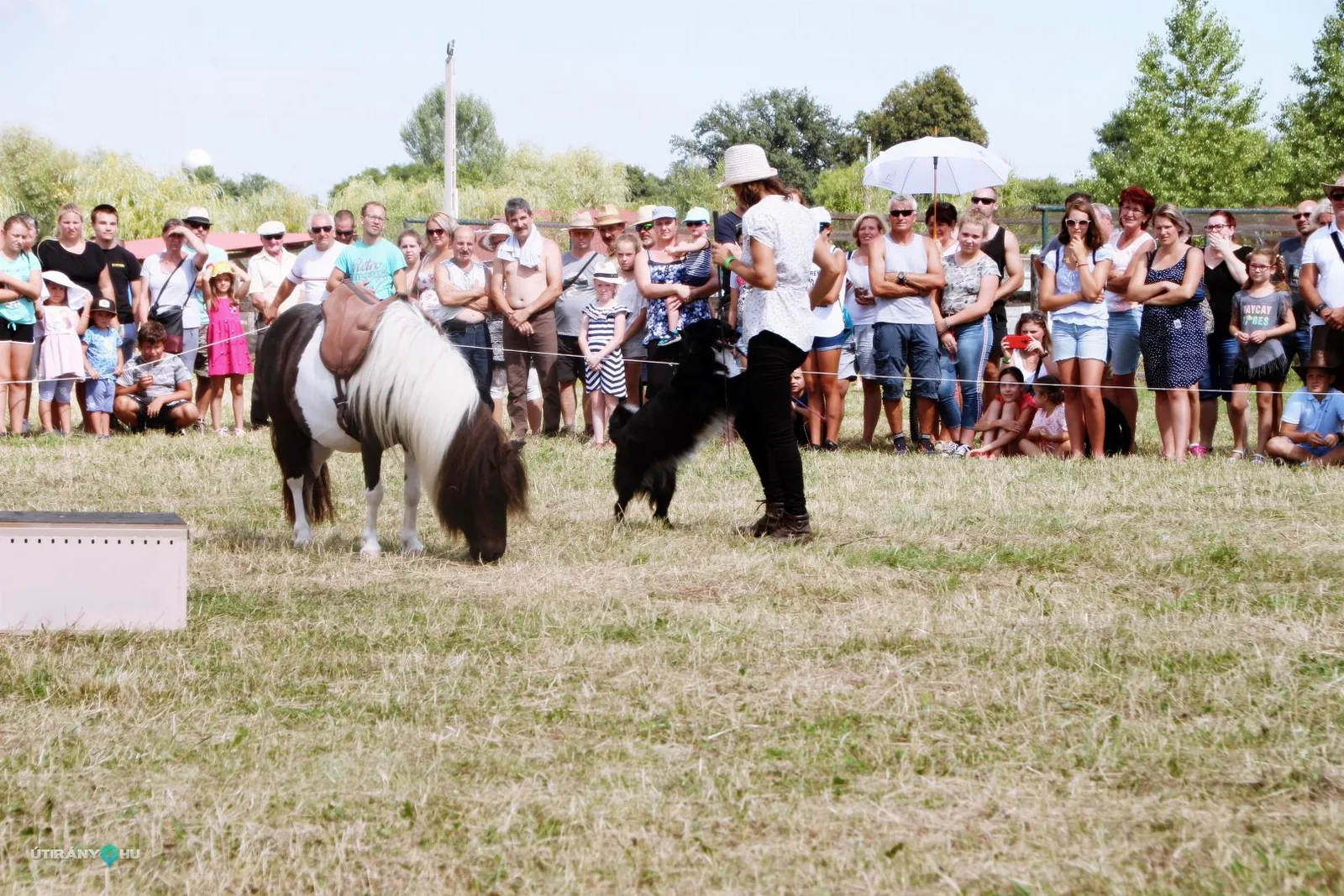 2019 Bakonyi Vágta. Fotók: Útirány.hu