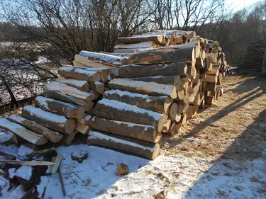 Szociális tűzifa kiosztása