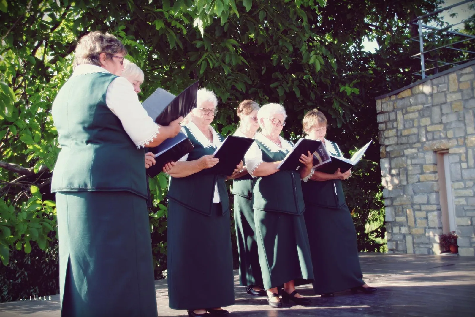 Falunap Fotó: LuiLand